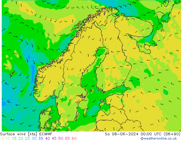 Bodenwind ECMWF Sa 08.06.2024 00 UTC