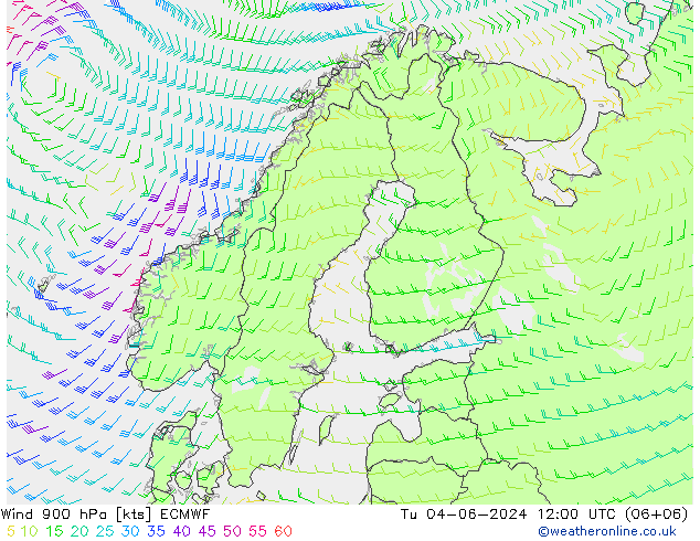 Wind 900 hPa ECMWF di 04.06.2024 12 UTC