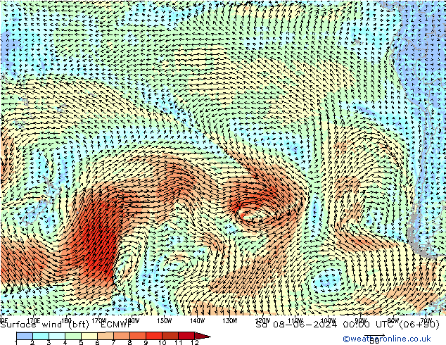  10 m (bft) ECMWF  08.06.2024 00 UTC