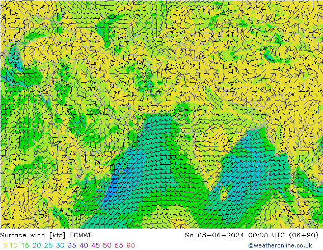 Wind 10 m ECMWF za 08.06.2024 00 UTC