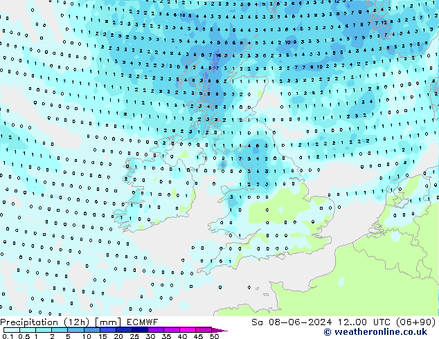 Yağış (12h) ECMWF Cts 08.06.2024 00 UTC