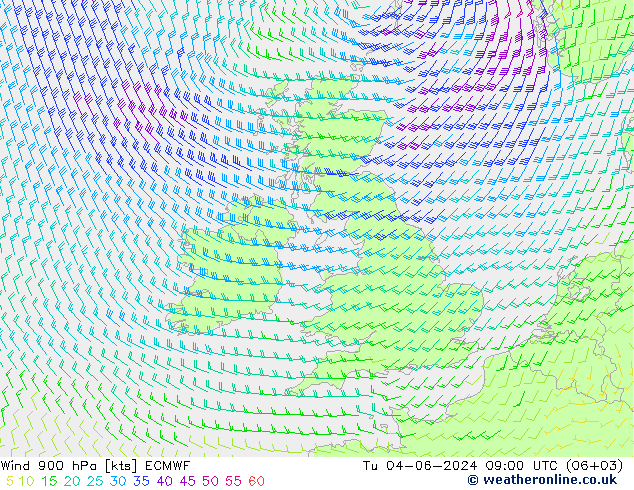 wiatr 900 hPa ECMWF wto. 04.06.2024 09 UTC