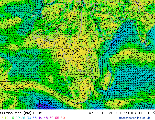 Surface wind ECMWF We 12.06.2024 12 UTC