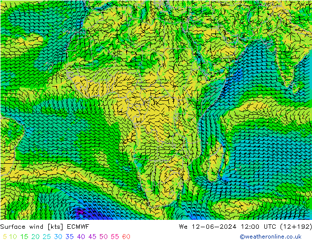 ветер 10 m ECMWF ср 12.06.2024 12 UTC