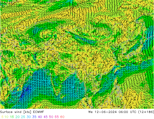 Vento 10 m ECMWF mer 12.06.2024 06 UTC