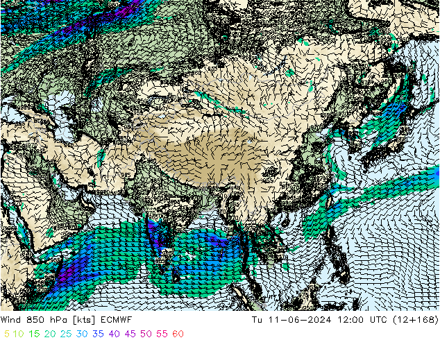 wiatr 850 hPa ECMWF wto. 11.06.2024 12 UTC