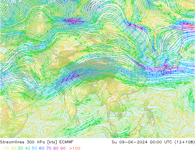 Linia prądu 300 hPa ECMWF nie. 09.06.2024 00 UTC