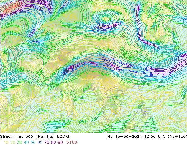 Stroomlijn 300 hPa ECMWF ma 10.06.2024 18 UTC