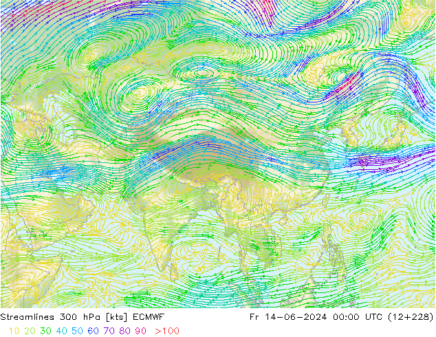 Streamlines 300 hPa ECMWF Fr 14.06.2024 00 UTC