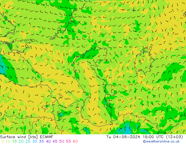 Surface wind ECMWF Tu 04.06.2024 15 UTC