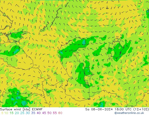 wiatr 10 m ECMWF so. 08.06.2024 18 UTC