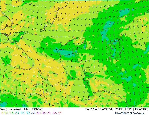 Surface wind ECMWF Tu 11.06.2024 12 UTC