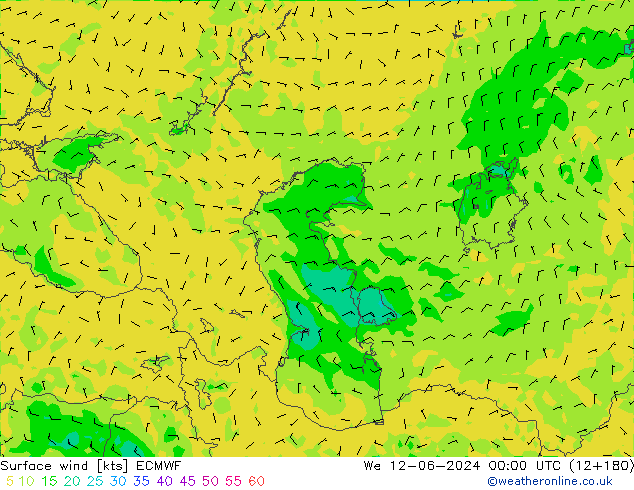 Wind 10 m ECMWF wo 12.06.2024 00 UTC