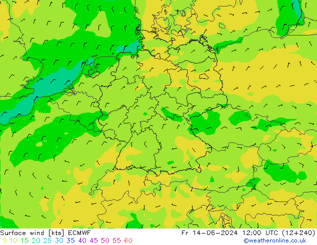 Bodenwind ECMWF Fr 14.06.2024 12 UTC