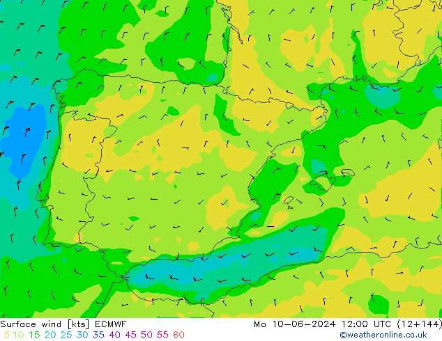 wiatr 10 m ECMWF pon. 10.06.2024 12 UTC