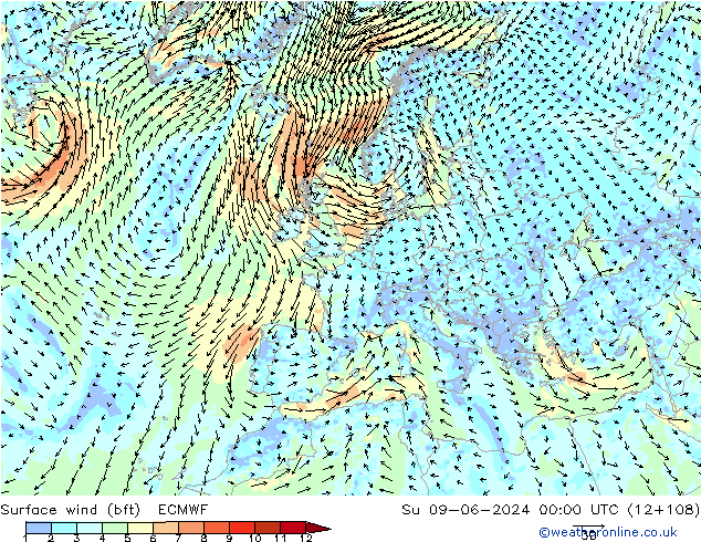 Surface wind (bft) ECMWF Ne 09.06.2024 00 UTC