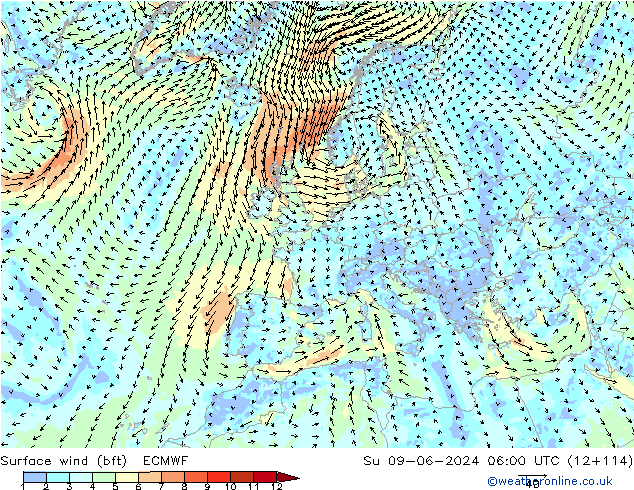 Surface wind (bft) ECMWF Su 09.06.2024 06 UTC