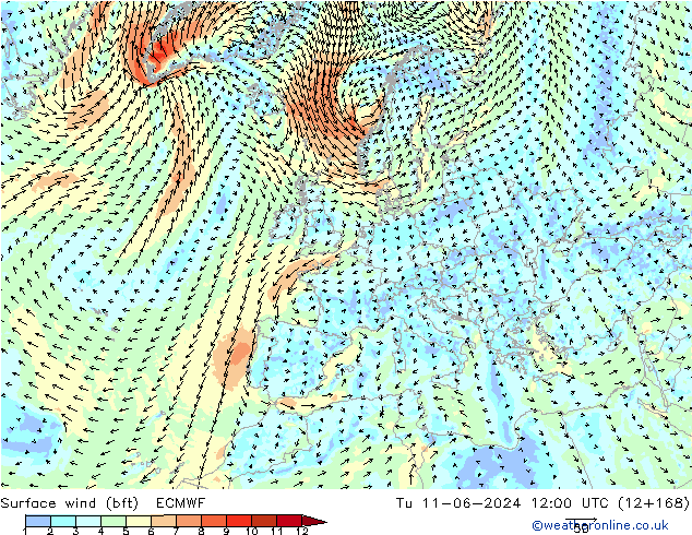 Vento 10 m (bft) ECMWF mar 11.06.2024 12 UTC