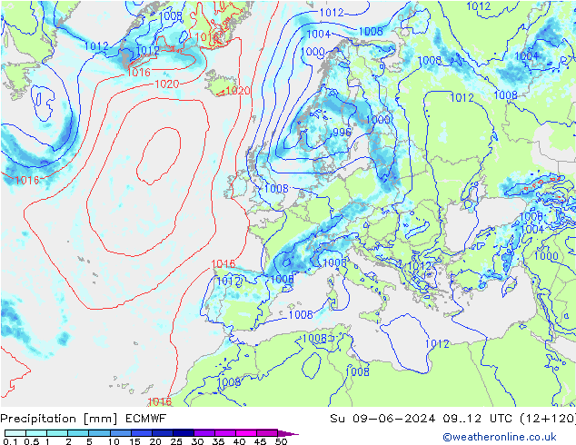 Yağış ECMWF Paz 09.06.2024 12 UTC