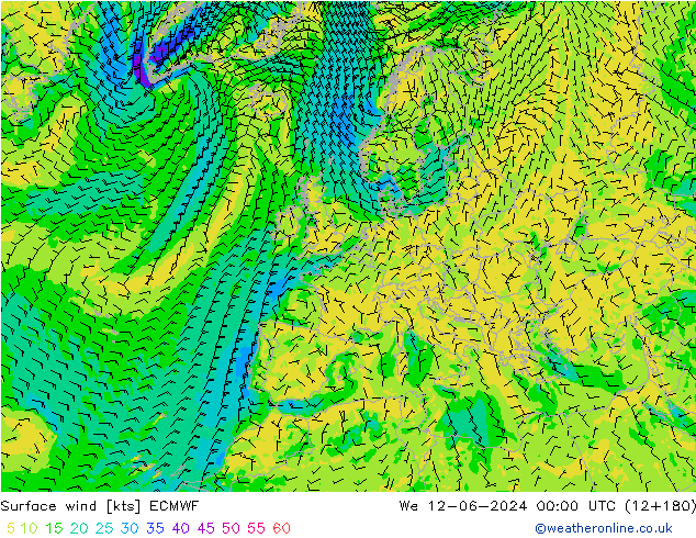 Wind 10 m ECMWF wo 12.06.2024 00 UTC