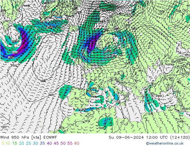 Wind 950 hPa ECMWF So 09.06.2024 12 UTC