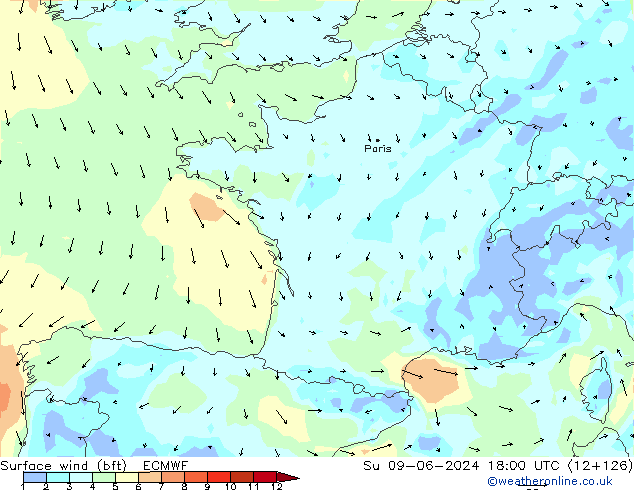 ве�Bе�@ 10 m (bft) ECMWF Вс 09.06.2024 18 UTC