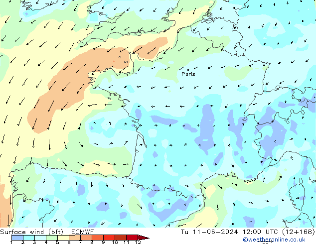  10 m (bft) ECMWF  11.06.2024 12 UTC