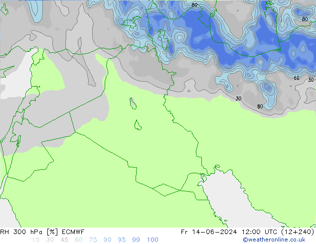 Humedad rel. 300hPa ECMWF vie 14.06.2024 12 UTC