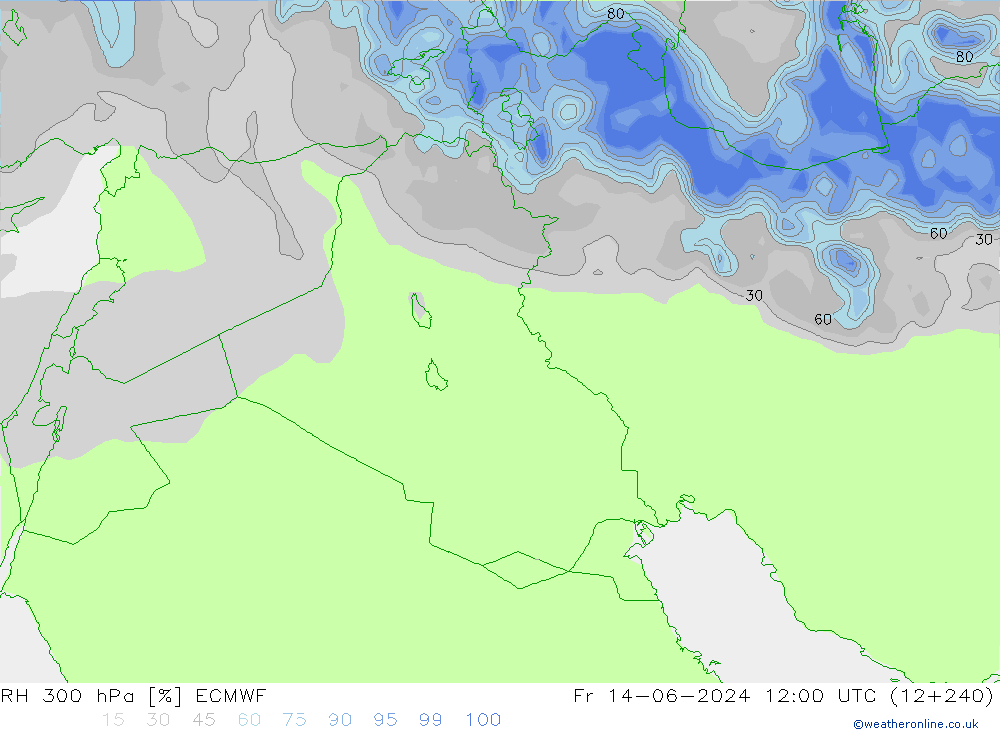 RH 300 hPa ECMWF Pá 14.06.2024 12 UTC