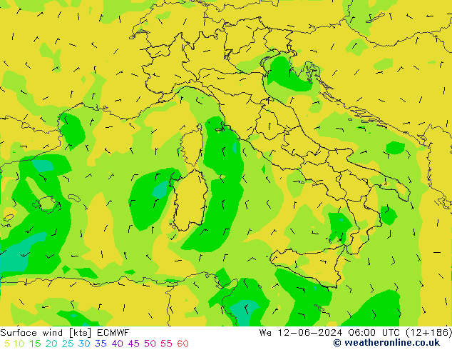 Wind 10 m ECMWF wo 12.06.2024 06 UTC