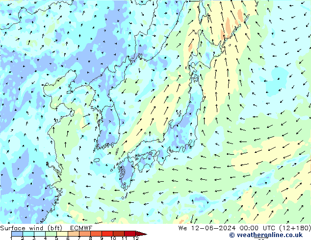 Surface wind (bft) ECMWF We 12.06.2024 00 UTC