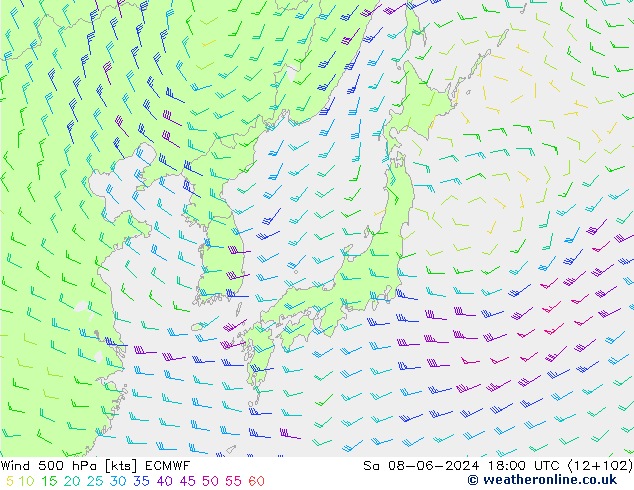 Viento 500 hPa ECMWF sáb 08.06.2024 18 UTC