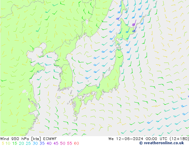 Vento 950 hPa ECMWF mer 12.06.2024 00 UTC