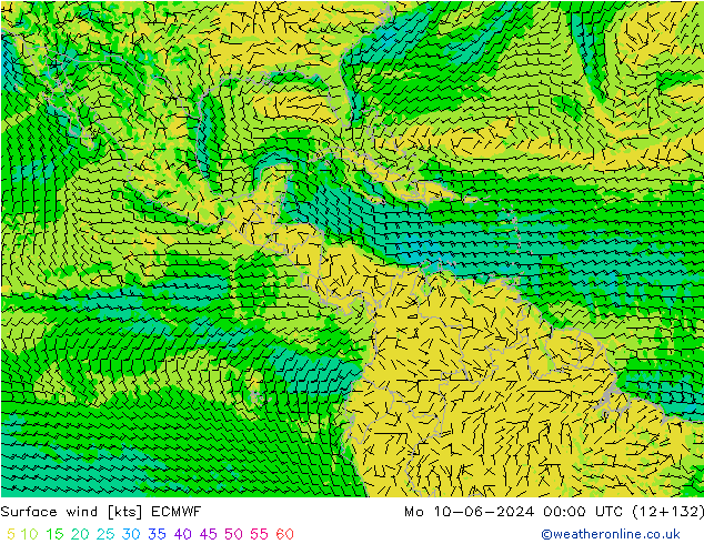 Rüzgar 10 m ECMWF Pzt 10.06.2024 00 UTC