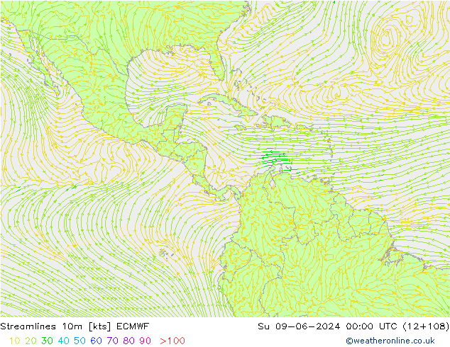 Streamlines 10m ECMWF Su 09.06.2024 00 UTC