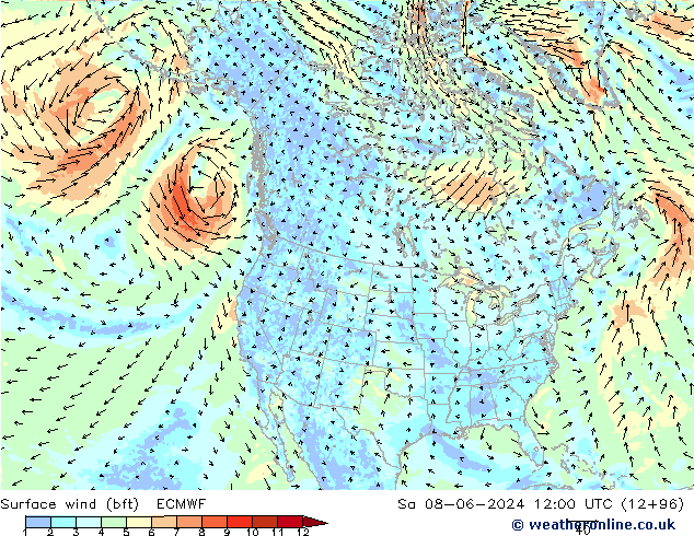 Surface wind (bft) ECMWF Sa 08.06.2024 12 UTC