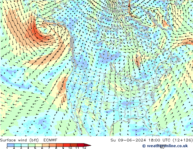 Vento 10 m (bft) ECMWF Dom 09.06.2024 18 UTC