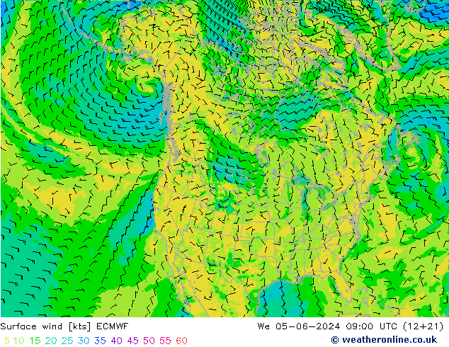 Surface wind ECMWF We 05.06.2024 09 UTC