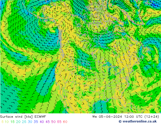 Surface wind ECMWF We 05.06.2024 12 UTC