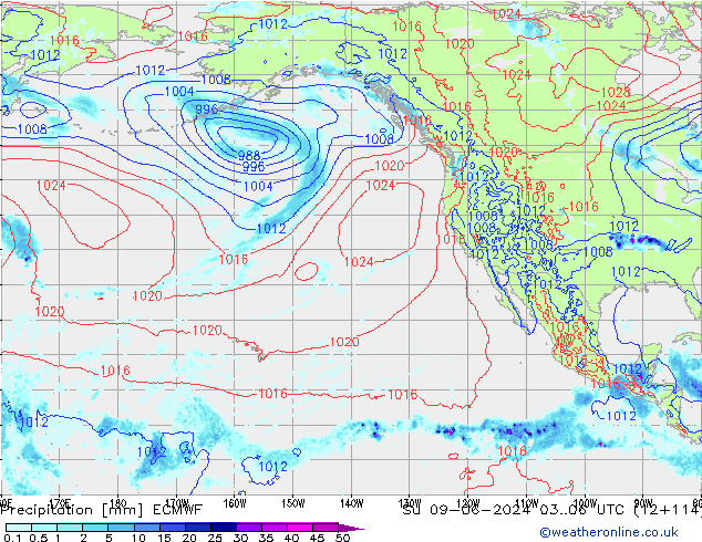 Yağış ECMWF Paz 09.06.2024 06 UTC