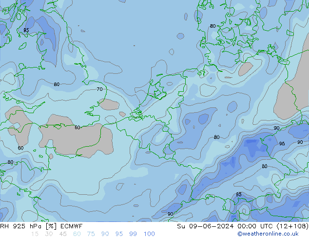 RH 925 hPa ECMWF Ne 09.06.2024 00 UTC