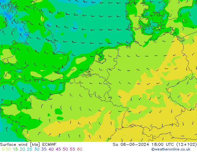 Bodenwind ECMWF Sa 08.06.2024 18 UTC