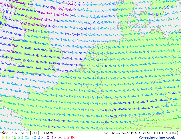  700 hPa ECMWF  08.06.2024 00 UTC