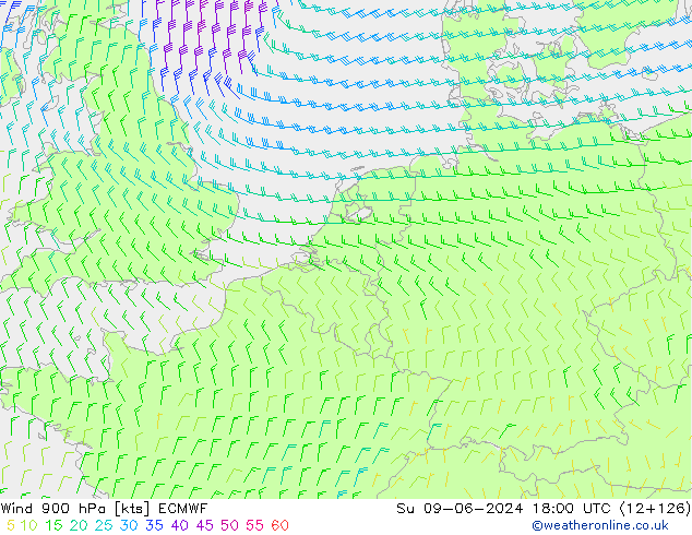 Vento 900 hPa ECMWF Dom 09.06.2024 18 UTC