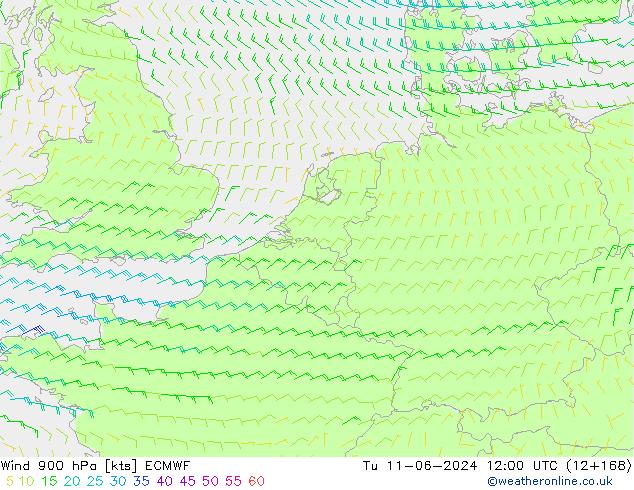 Viento 900 hPa ECMWF mar 11.06.2024 12 UTC