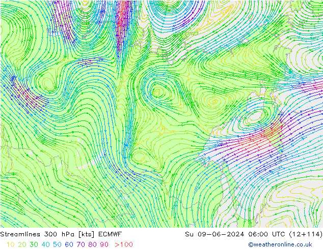 Streamlines 300 hPa ECMWF Ne 09.06.2024 06 UTC