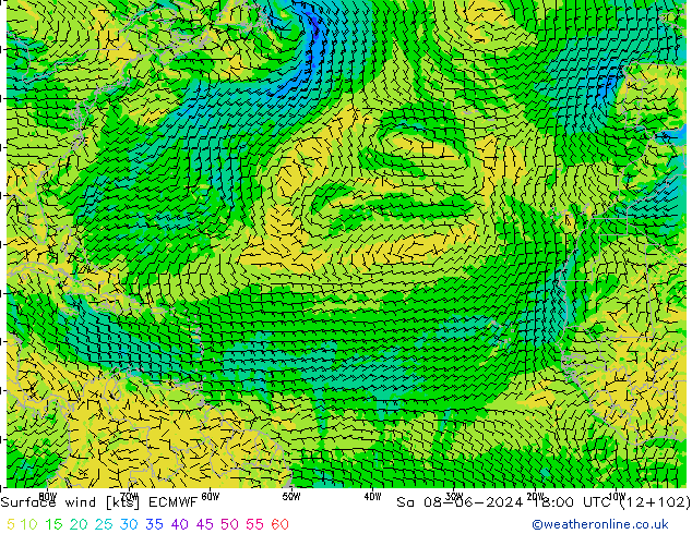  10 m ECMWF  08.06.2024 18 UTC