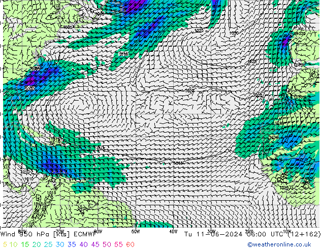 Rüzgar 950 hPa ECMWF Sa 11.06.2024 06 UTC