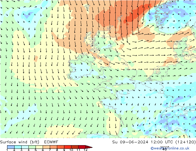 Surface wind (bft) ECMWF Su 09.06.2024 12 UTC