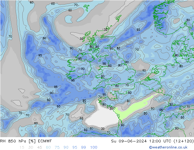 RH 850 гПа ECMWF Вс 09.06.2024 12 UTC